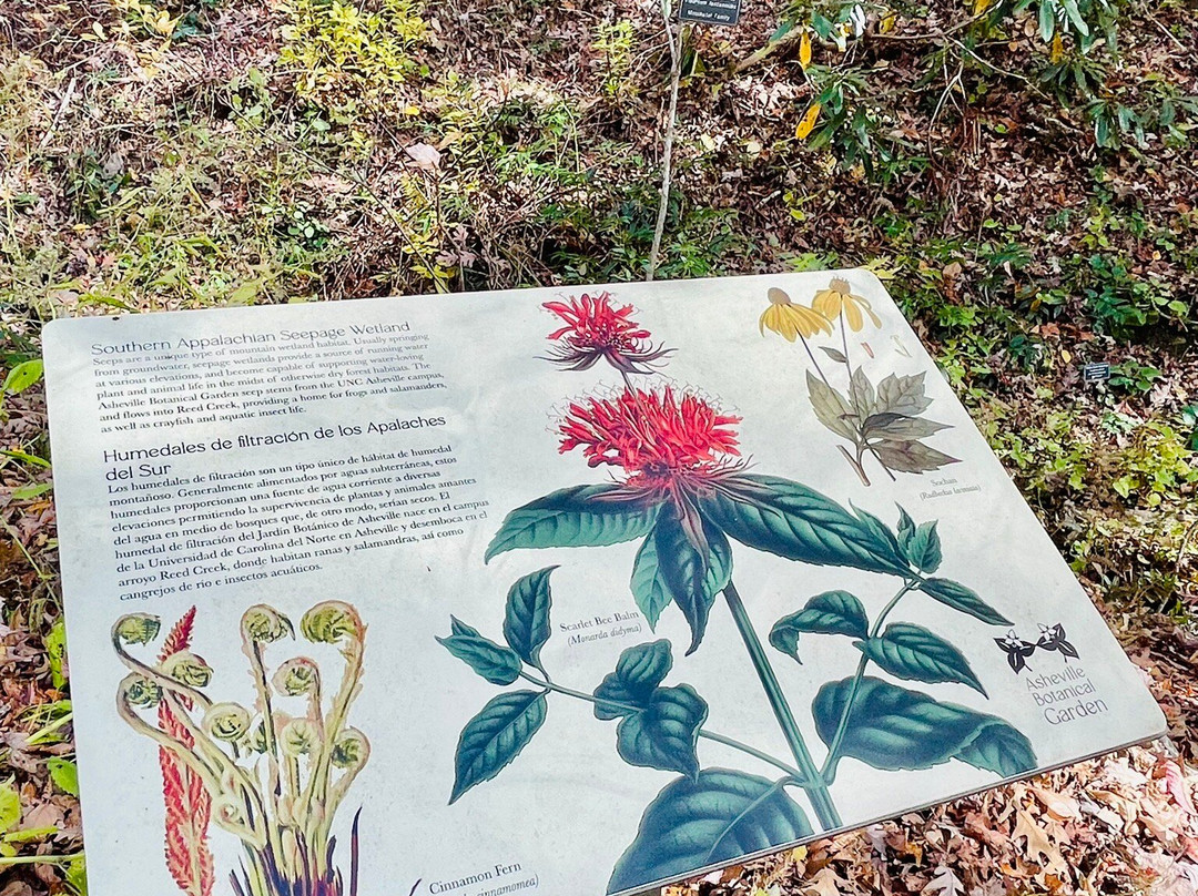 Asheville Botanical Garden-阿什维尔必去景点