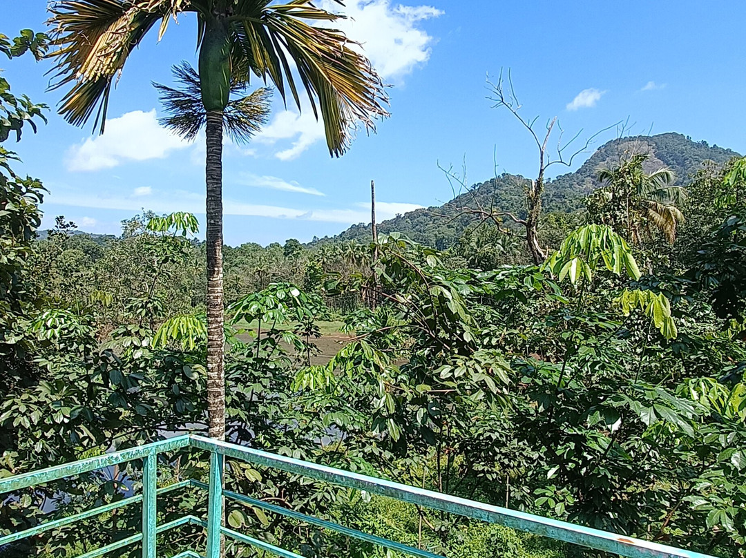 Jungle Bird Homestay主图