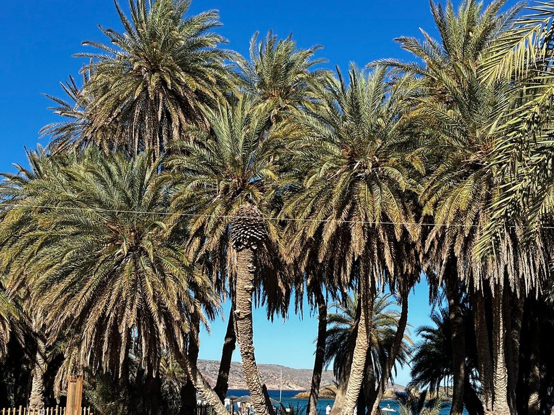 Vai Beach-Vai必去景点