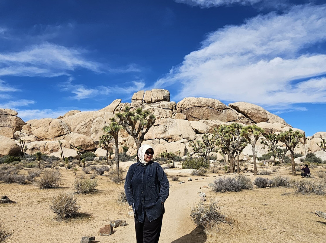 Indousa Tours Travel Services LLC-阿弗内尔必去景点