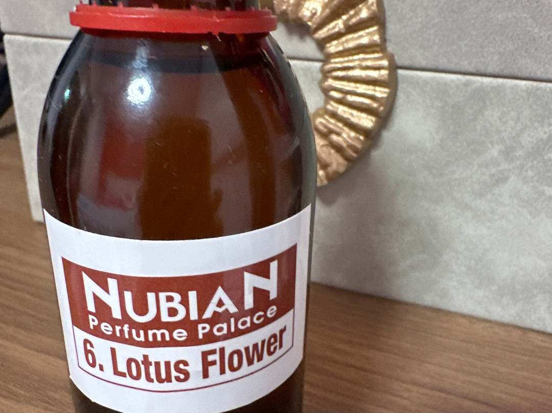 Abu Simbel Perfume Palace-Aswan 1必去景点