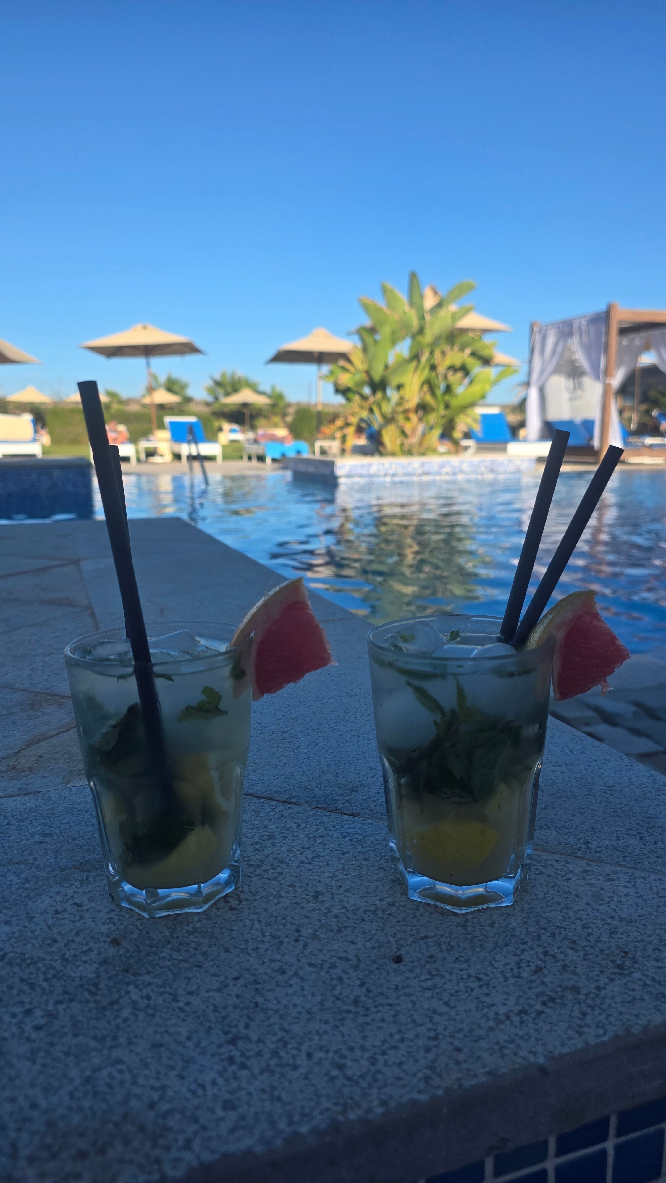 TUI BLUE Palm Beach Palace-泳池