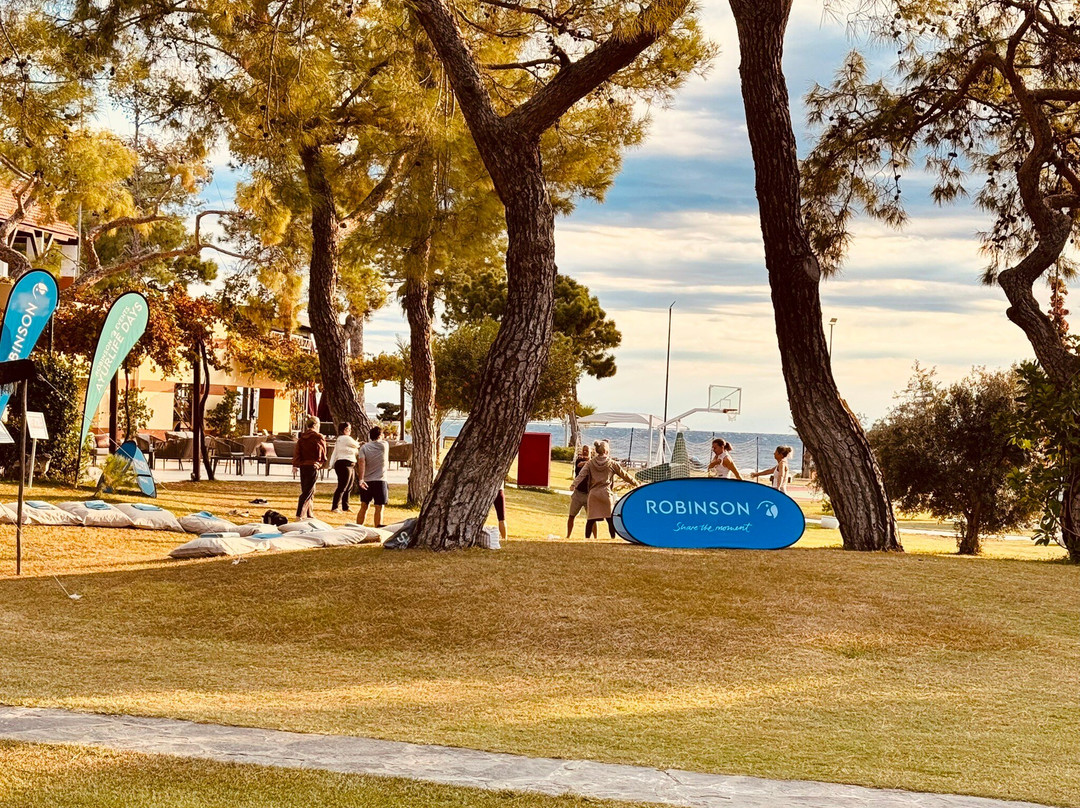 Robinson Camyuva主图