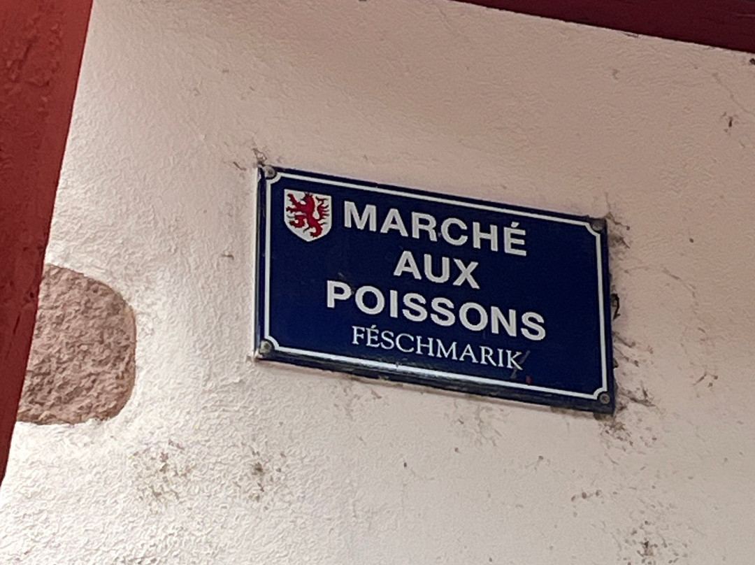 Vieille Ville-塞勒斯塔必去景点