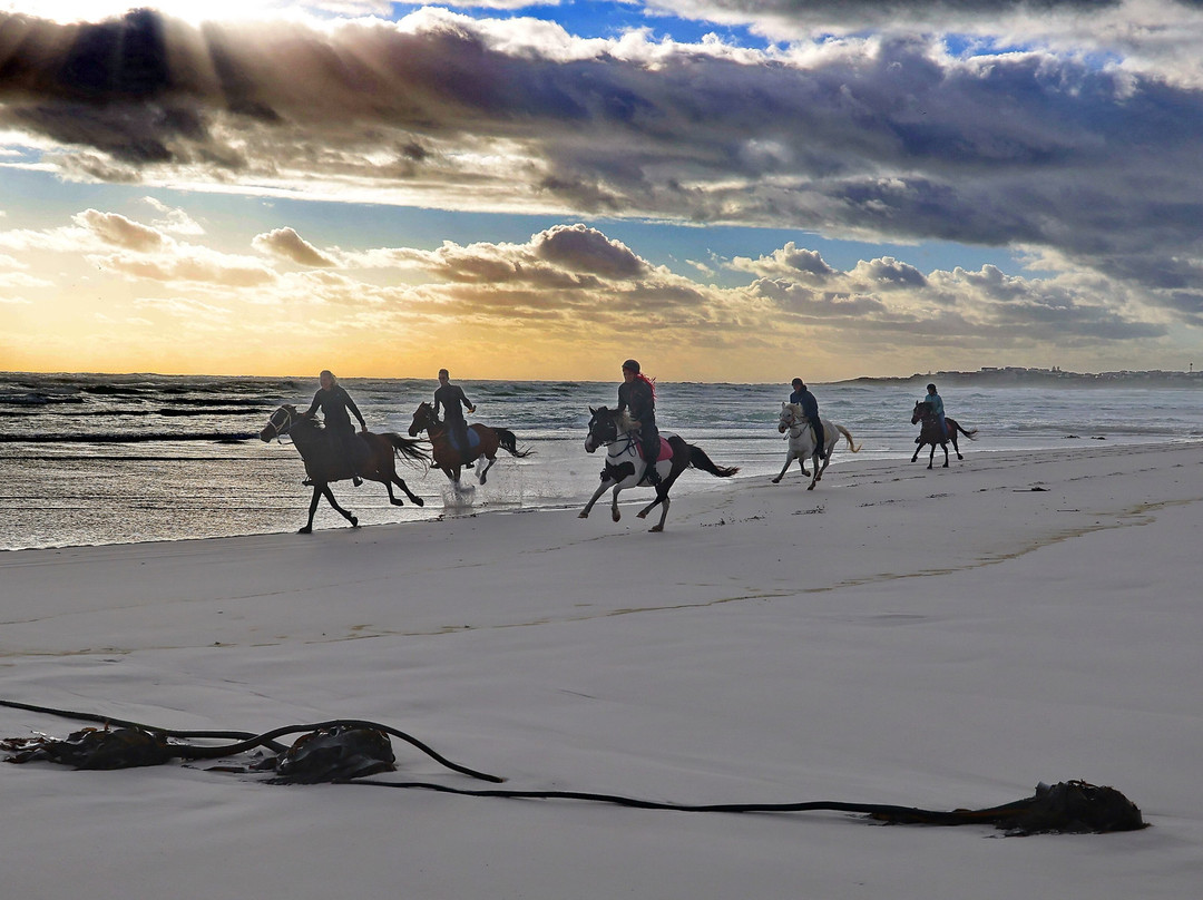 Gansbaai & Pearly Beach Horse Trails-干斯拜必去景点