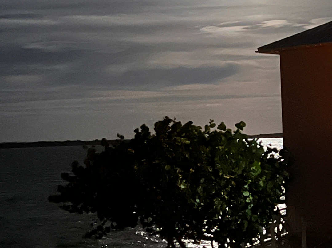 Peace & Plenty-George Town必去景点