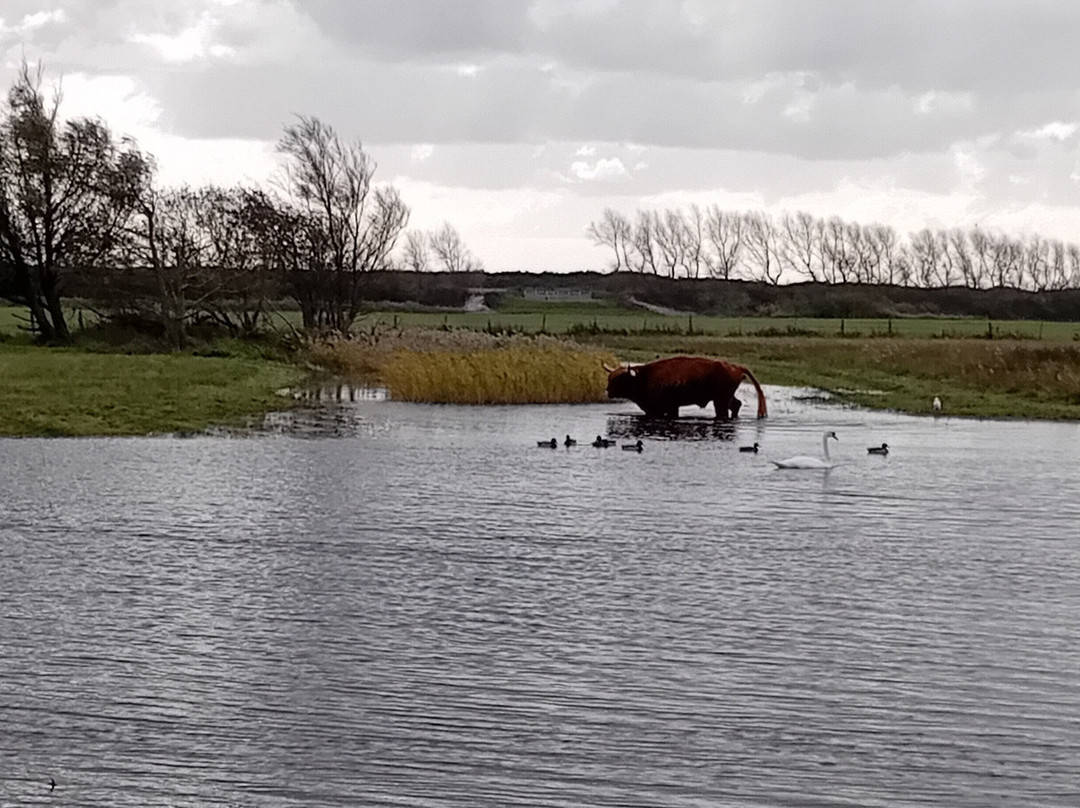 Parc du Marquenterre-Saint-Quentin-en-Tourmont必去景点