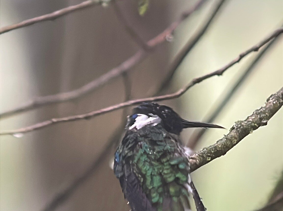 Go Highlands Tours-渥肯必去景点