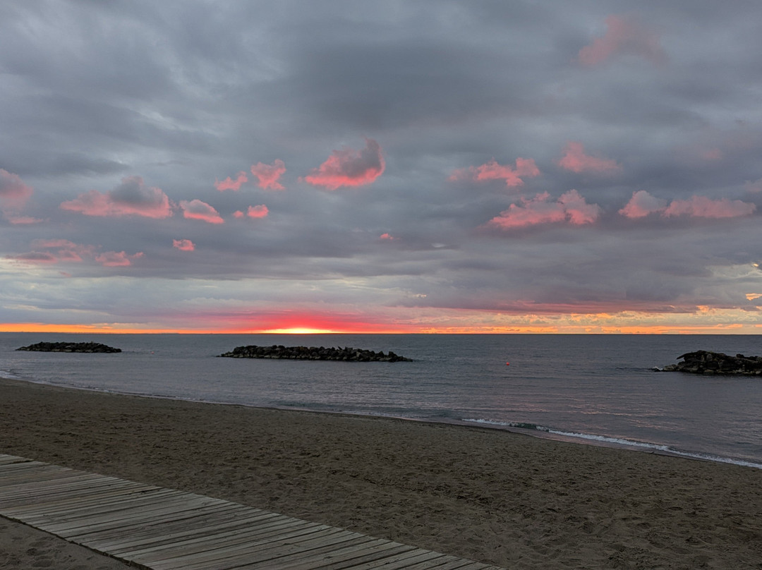 Euclid Creek Reservation-Euclid必去景点