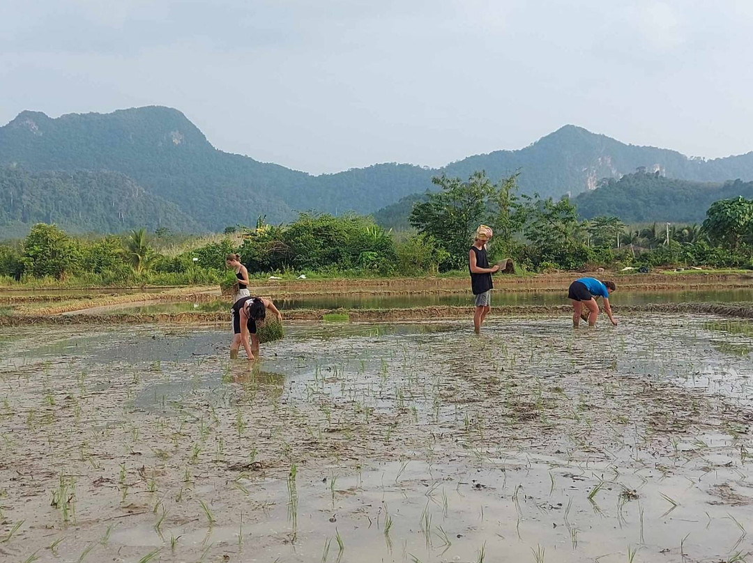 Trang Mountain Tour