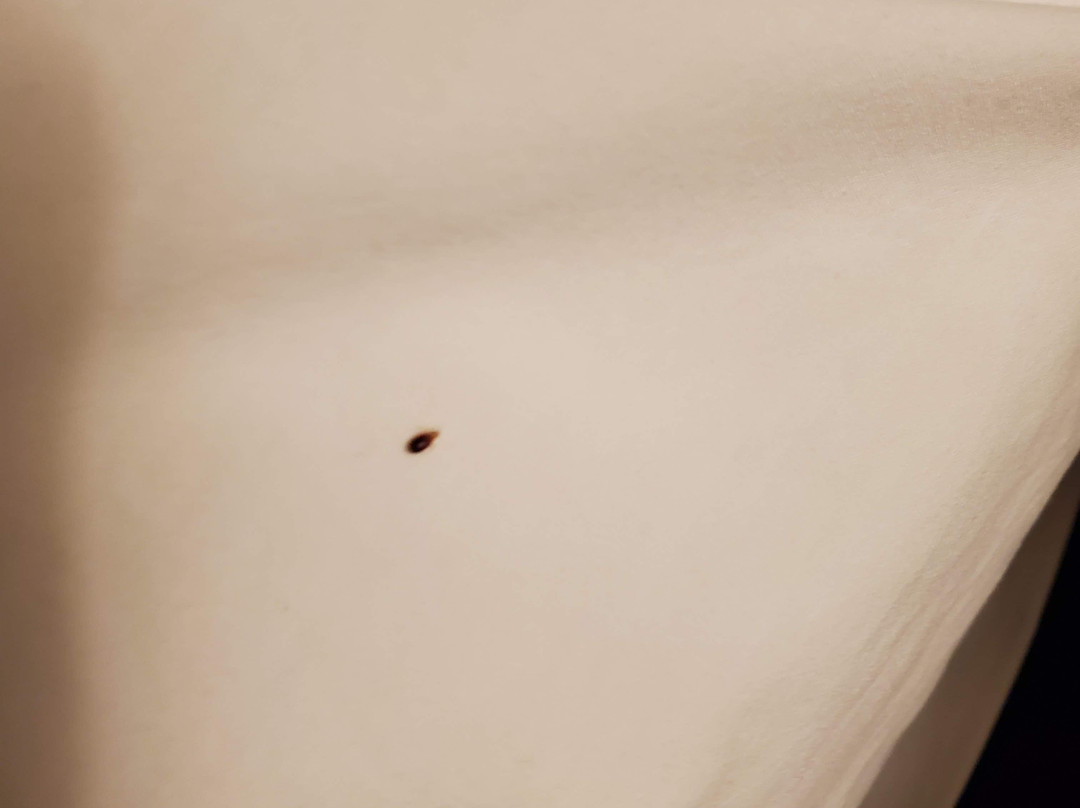 Fairfield by Marriott Inn & Suites Barrie主图