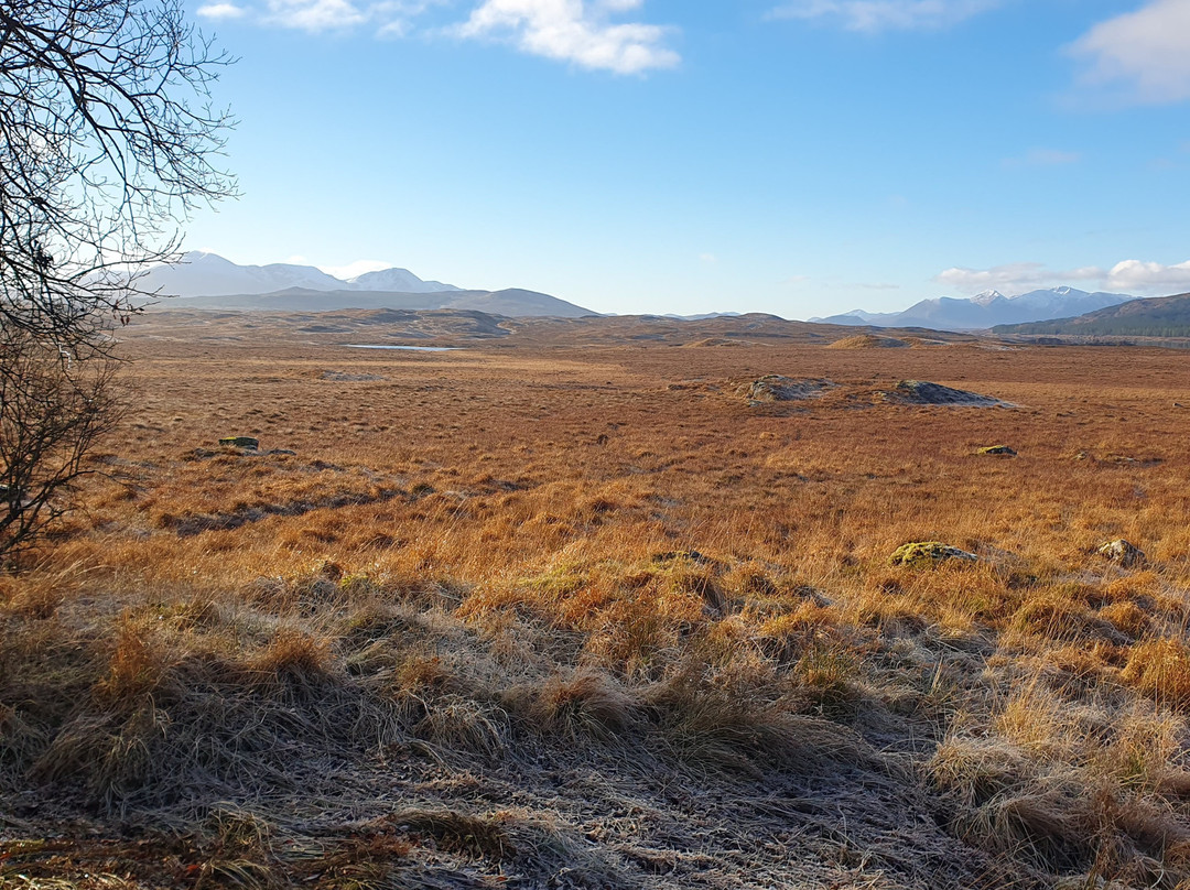 Moor of Rannoch Restaurant & Rooms主图