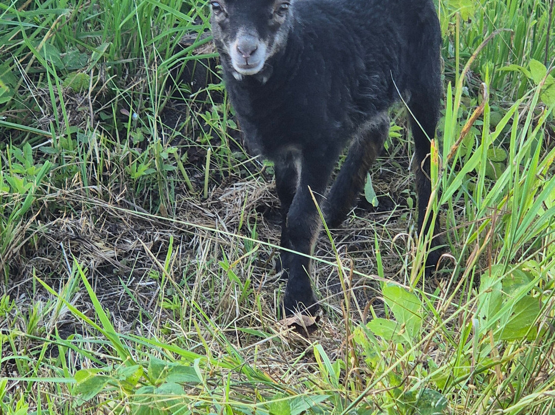 Darzini-Kekava必去景点