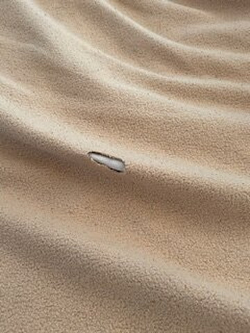 Super 8 by Wyndham Champaign主图