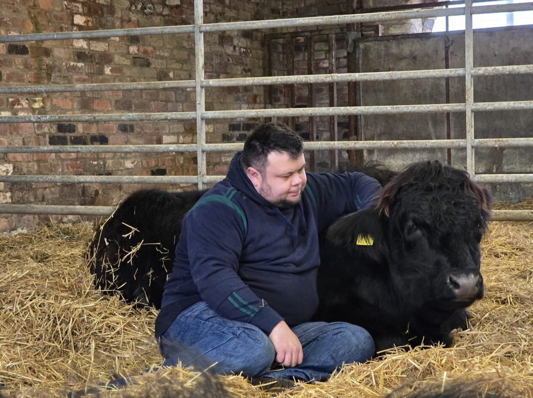 Dumble Farm-比弗利必去景点