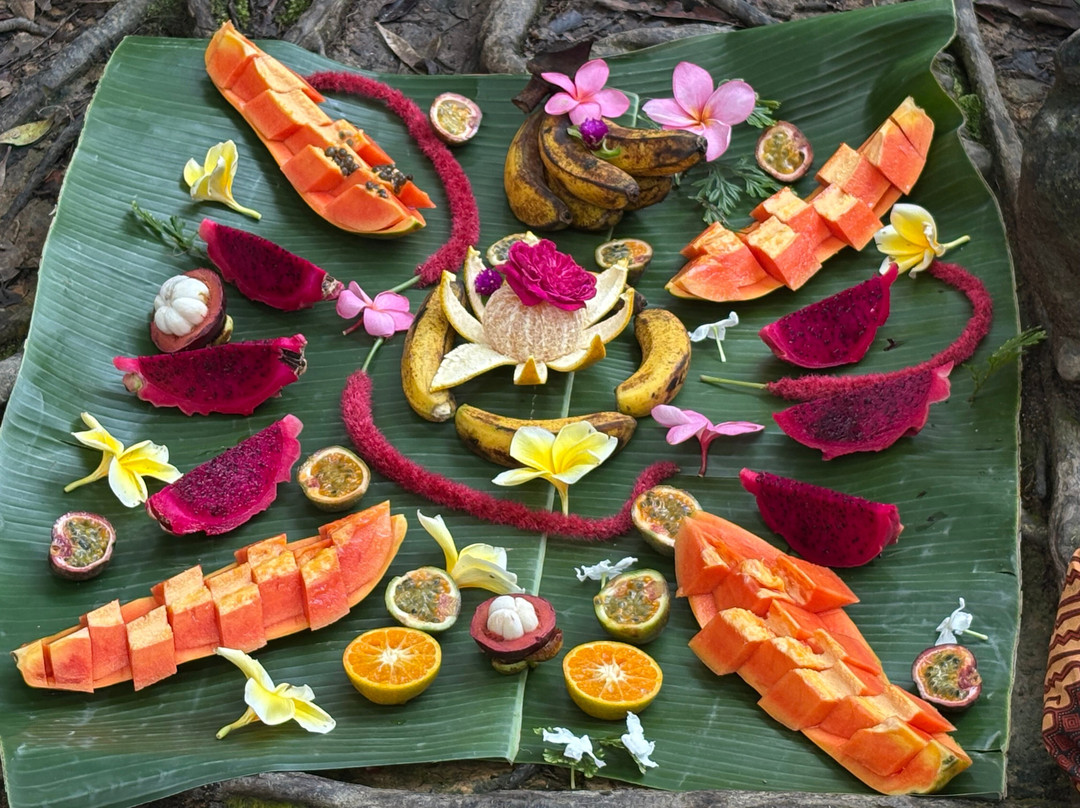 Explore Sumatra Orangutan-武吉拉旺必去景点