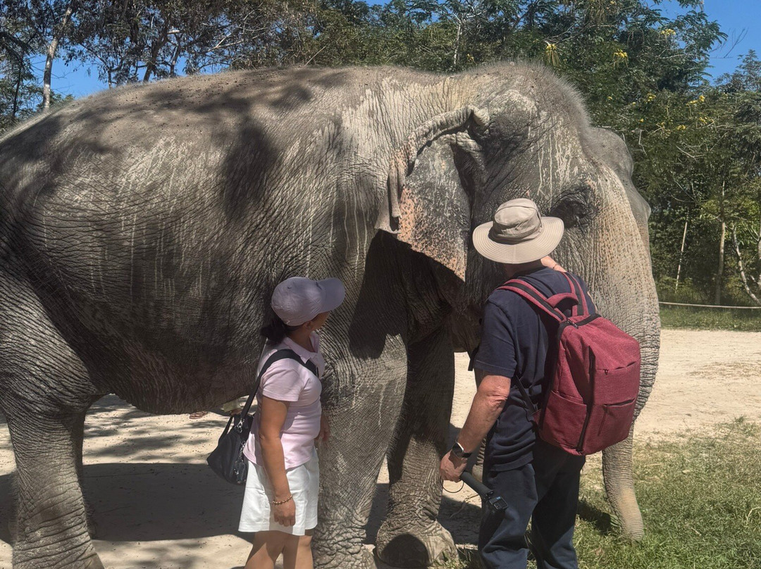 Kulen Elephant Forest-暹粒必去景点