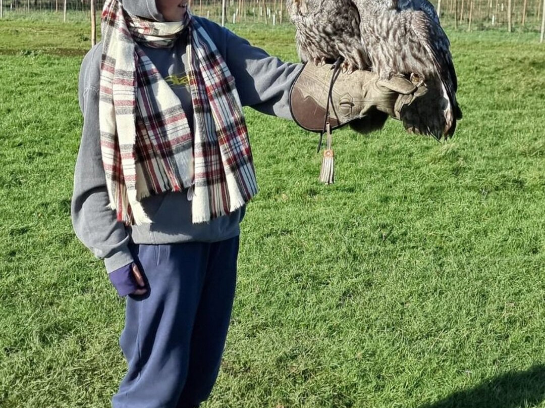 UK Owl And Raptor Centre-Groombridge必去景点