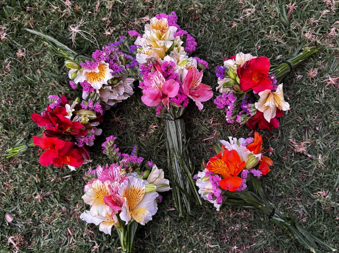 Etnikas Ayahuasca Retreats-库斯科必去景点