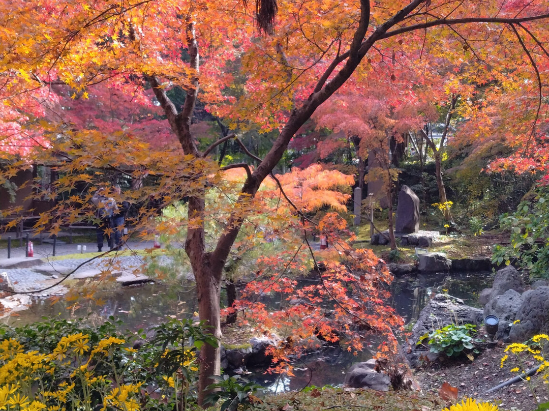 Nagaoka Tenmangu-长冈京市必去景点