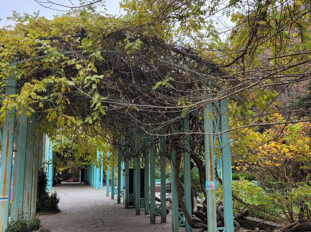 Borjomi Central Park-Borjomi必去景点