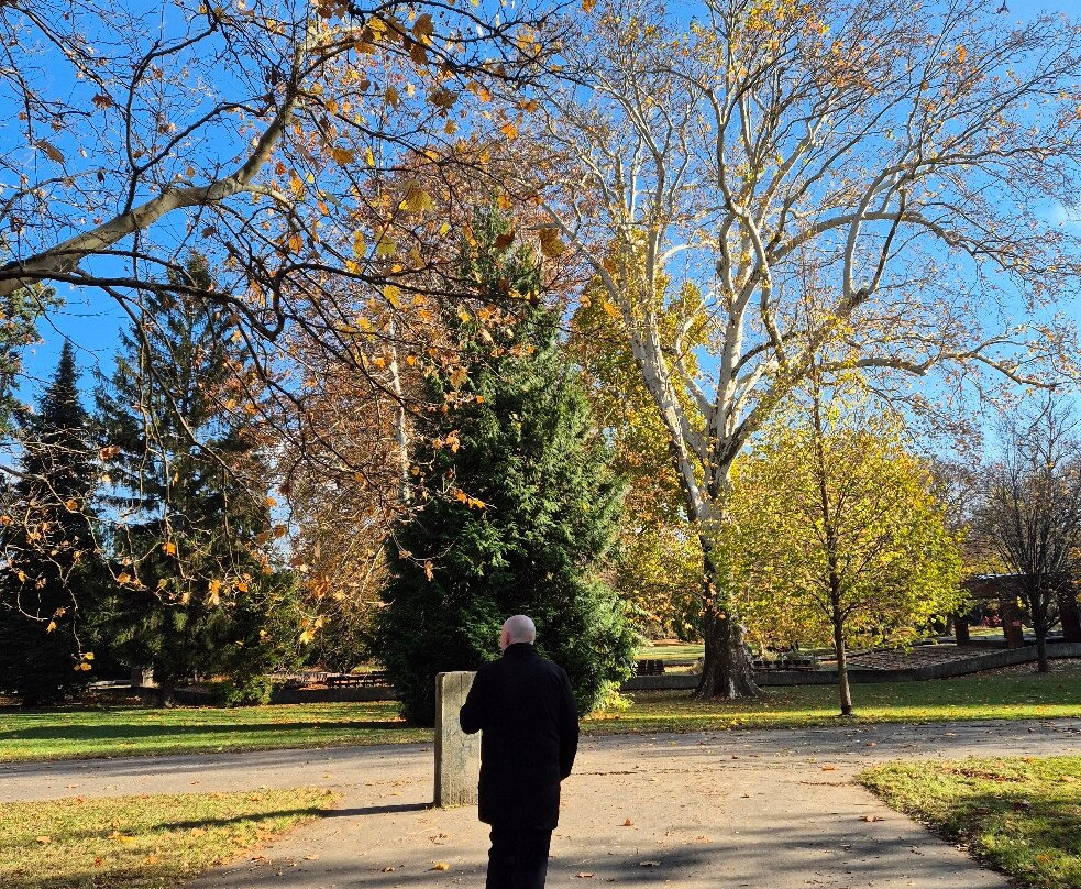 Sad Janka Kráľa-布拉迪斯拉发必去景点