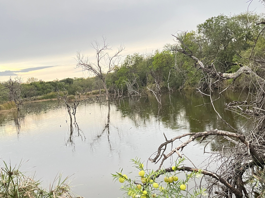 Ngoma Bush Lodge