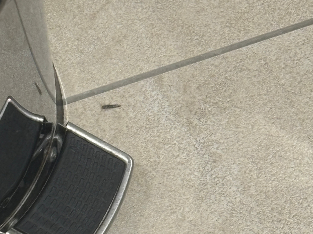 Hampton By Hilton Kalisz主图