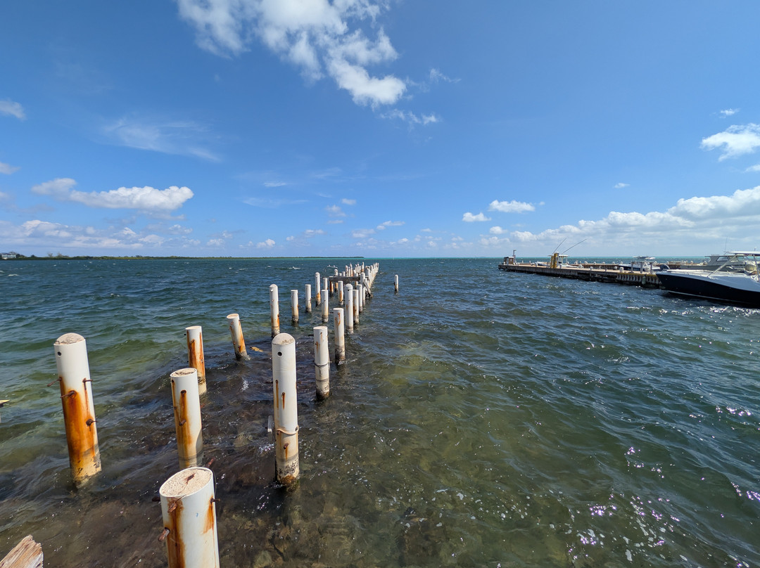 ECO Rides Cayman-East End必去景点