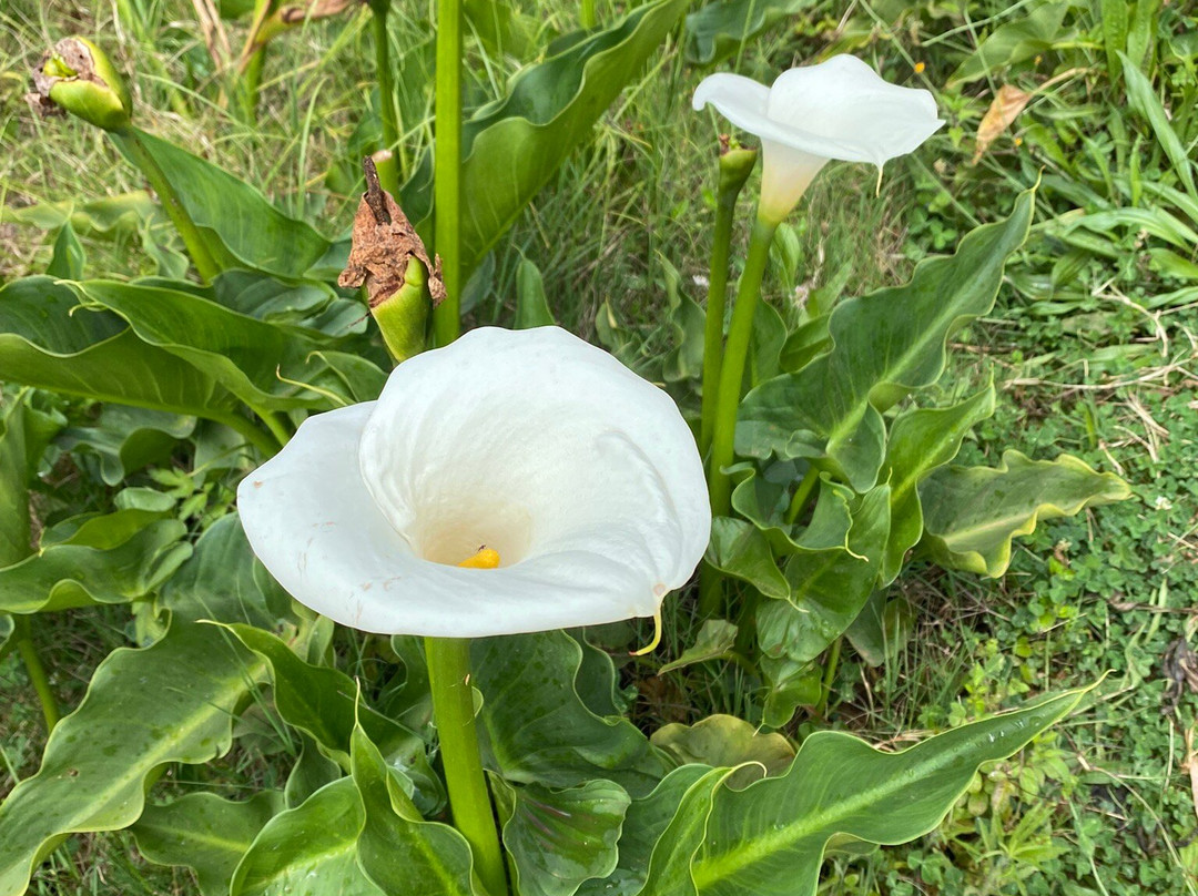 Mullers Mountain Lodge主图