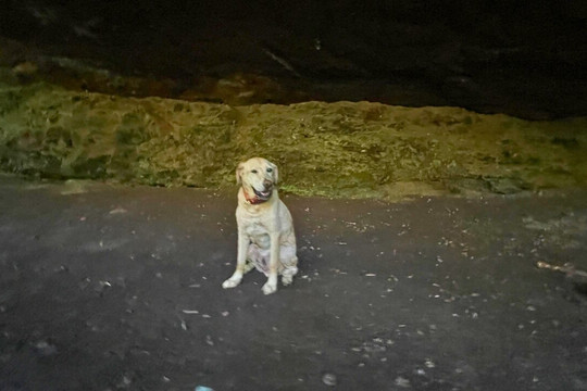 Caverna Dos Bugres-Santa Maria do Herval必去景点