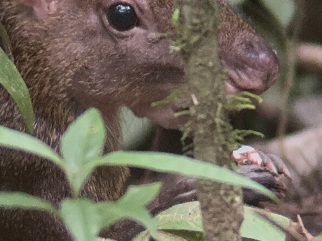 Sukia Travel-德雷克湾必去景点