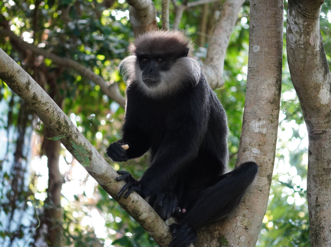 Spice Spoon: Traditional Smoke kitchen cooking Experience: southern Sri Lanka-Gurubebila必去景点