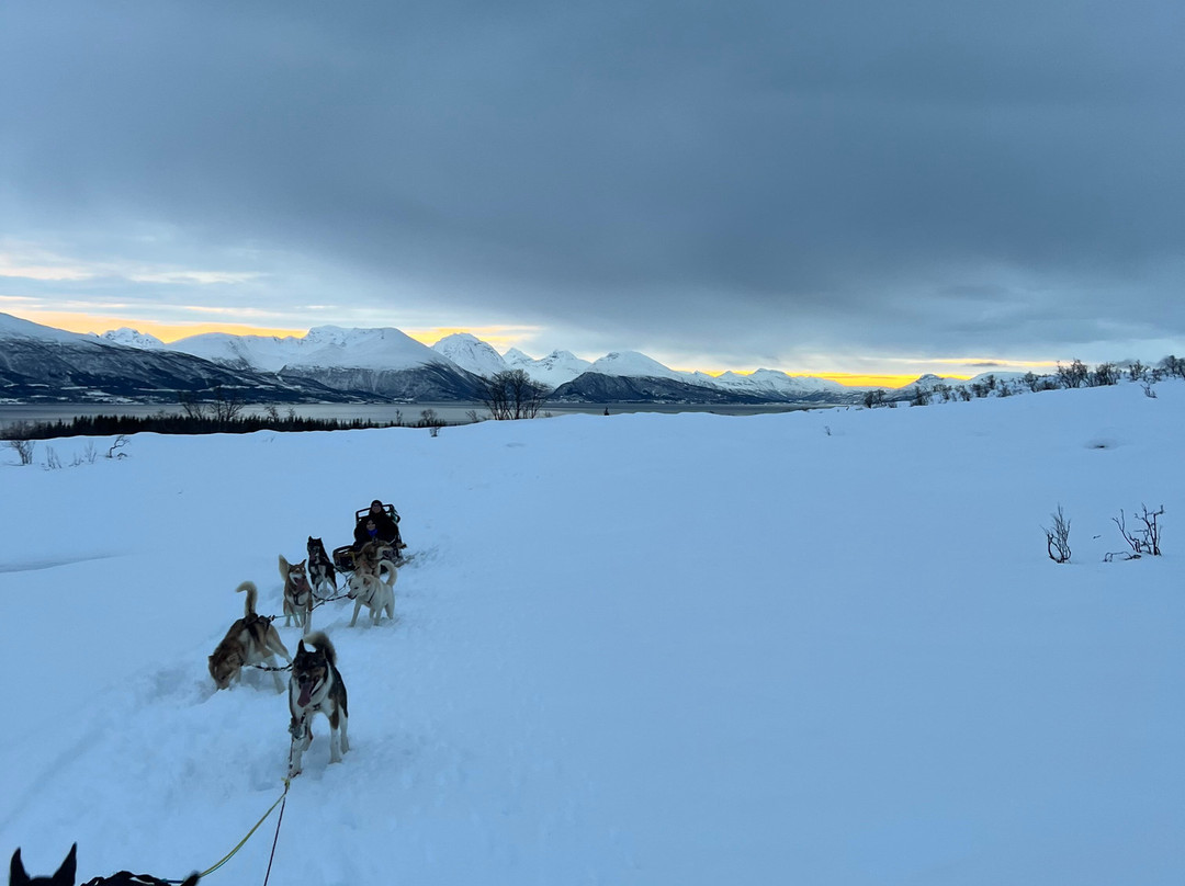特罗姆瑟野外之旅-特罗姆瑟必去景点