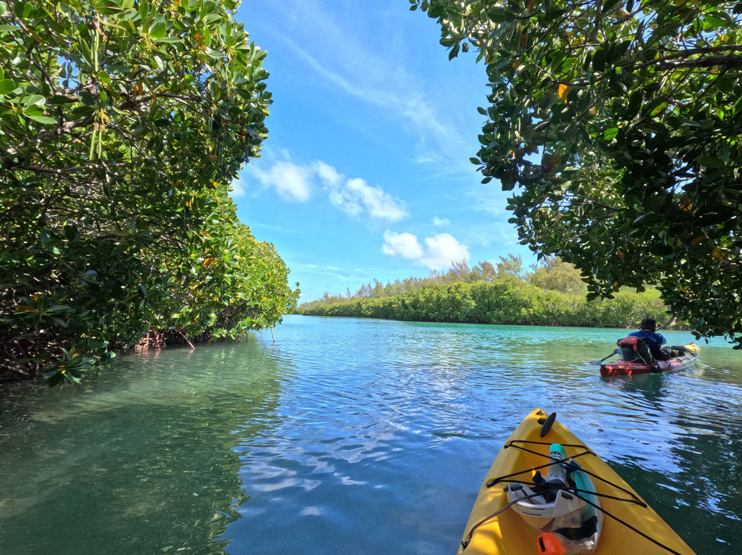 Sea Kayak Adventures-毛里求斯必去景点