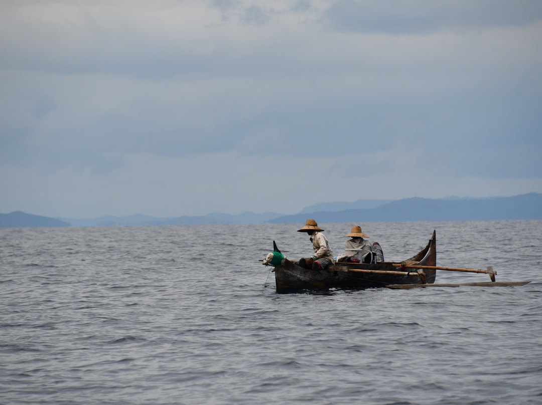 Les Baleines Rand'eau-诺西贝必去景点