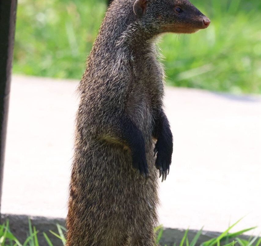 Golden Plains Safaris-Wakiso必去景点