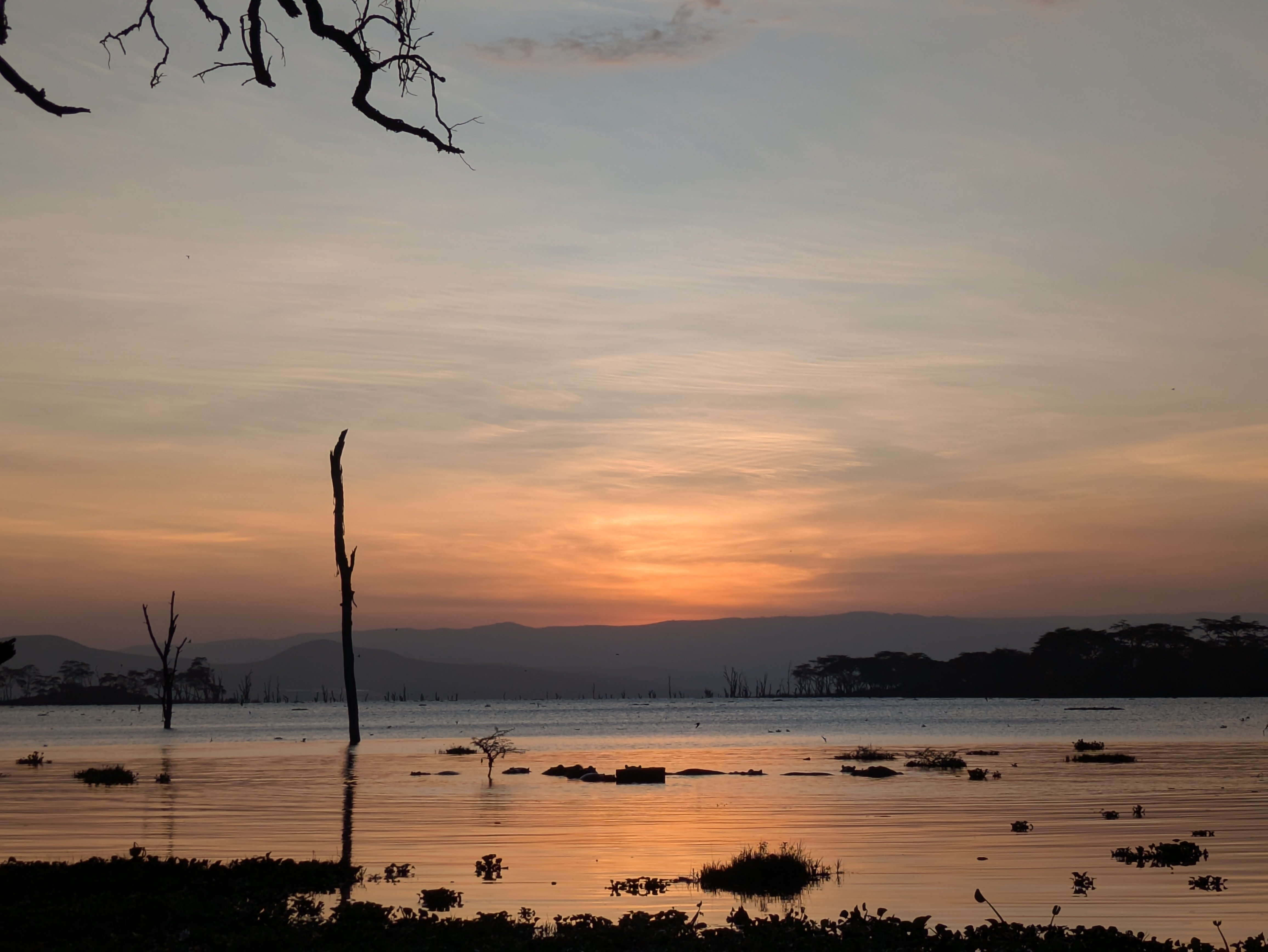 纳瓦沙湖乡村俱乐部-官方
