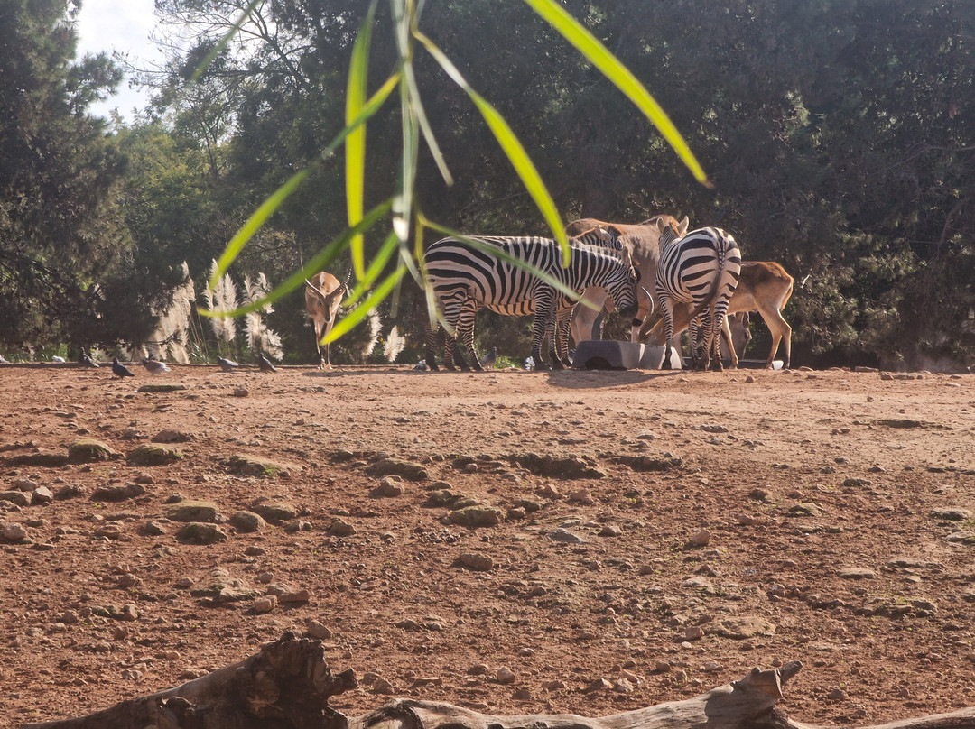 Jardin Zoologique de Rabat-拉巴特必去景点