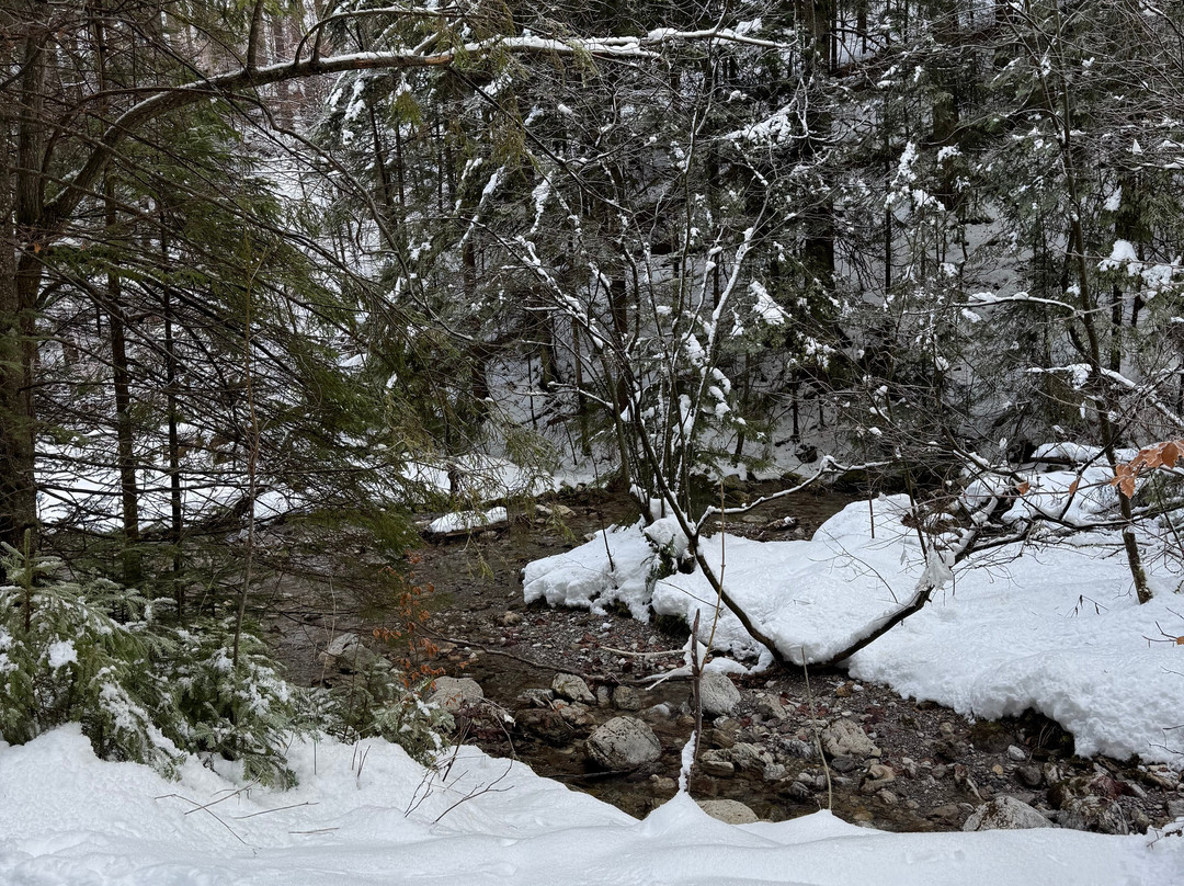Strazyska Valley-扎科帕内必去景点