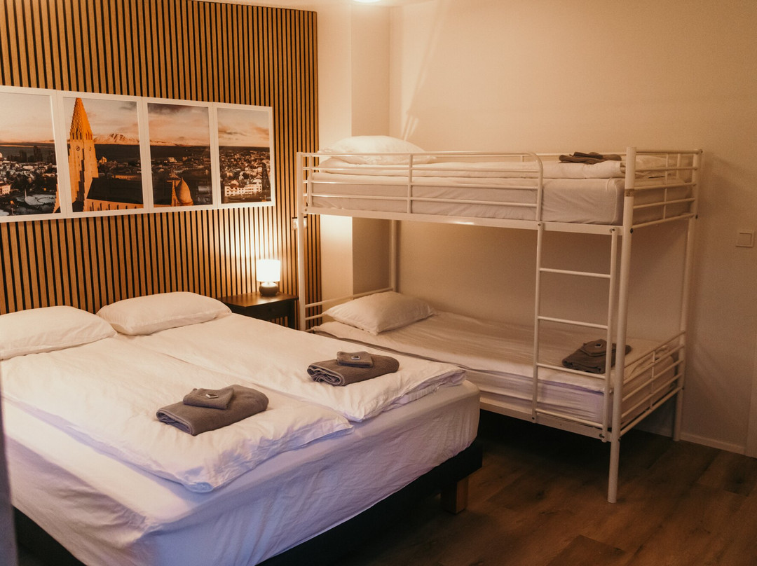 Iceland Guesthouse - Hvítá主图