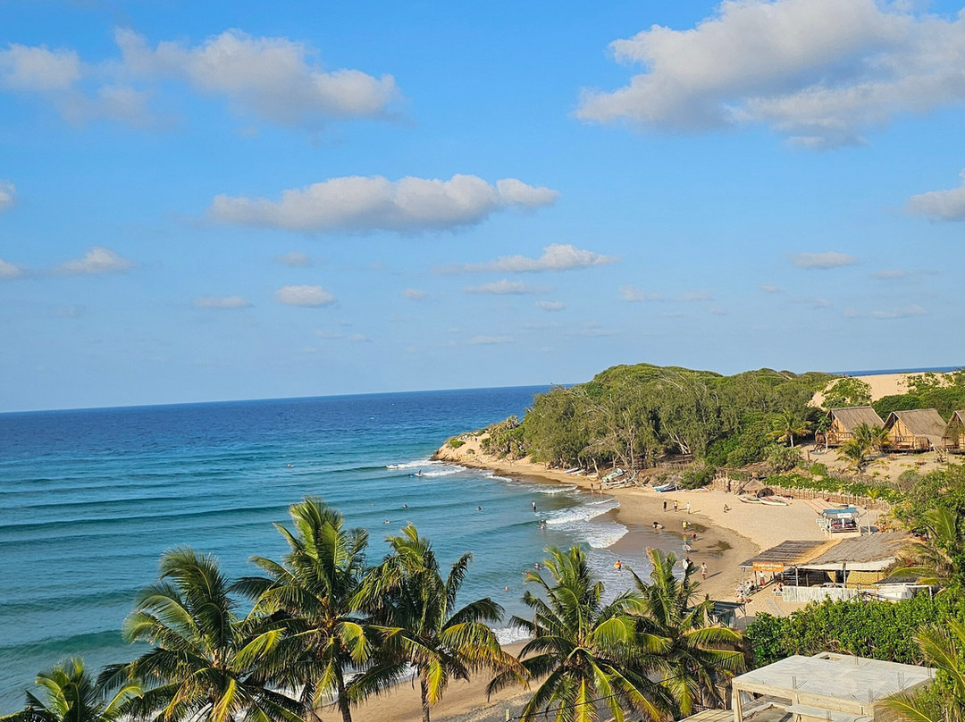 SAFARI, DRIVE & DIVE TOURS-Inhambane必去景点