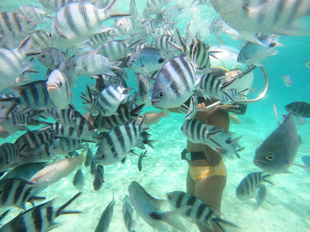 水上乐园-贝尔马尔必去景点