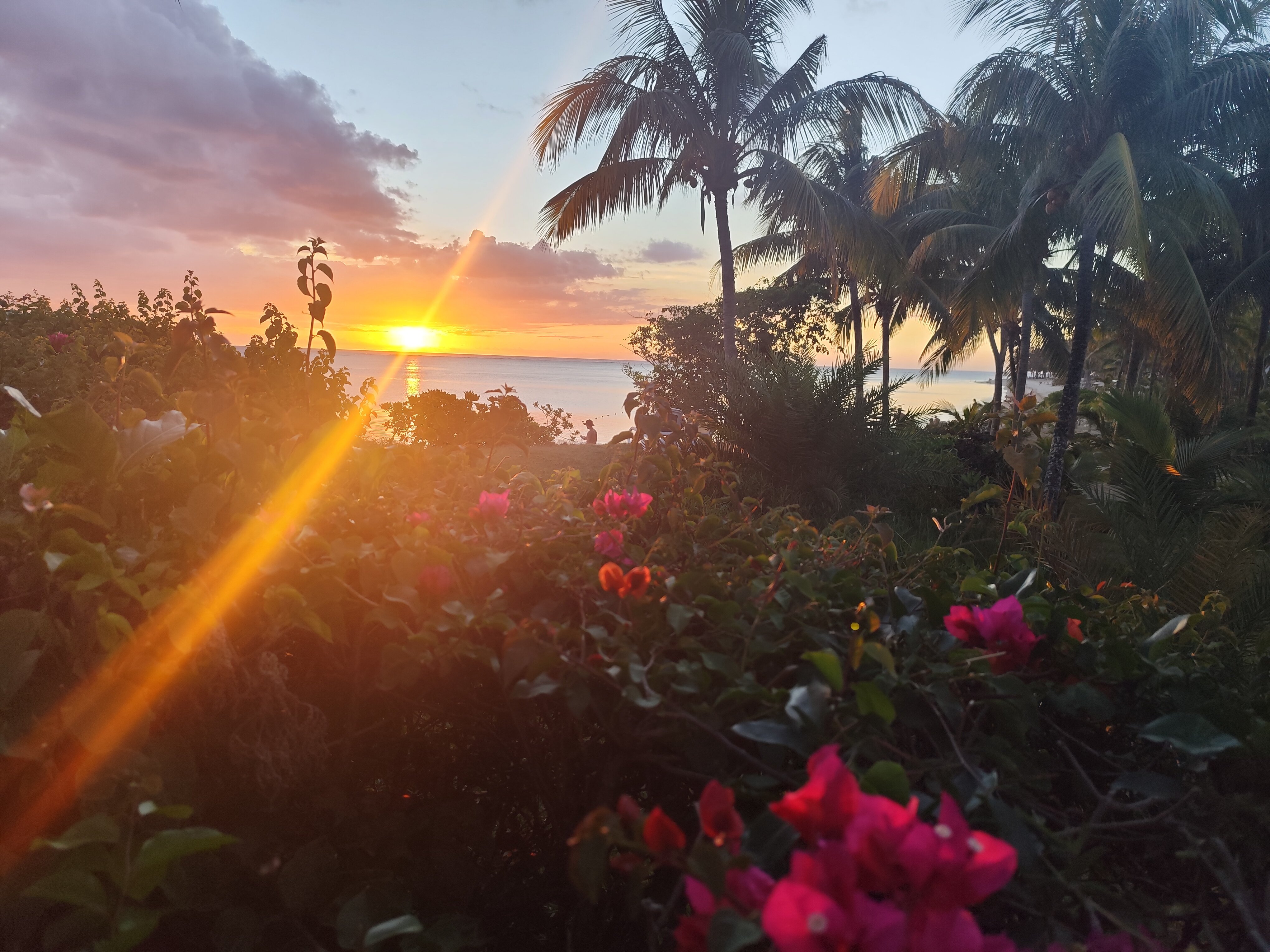 克里奥悦宜湾酒店-浴室