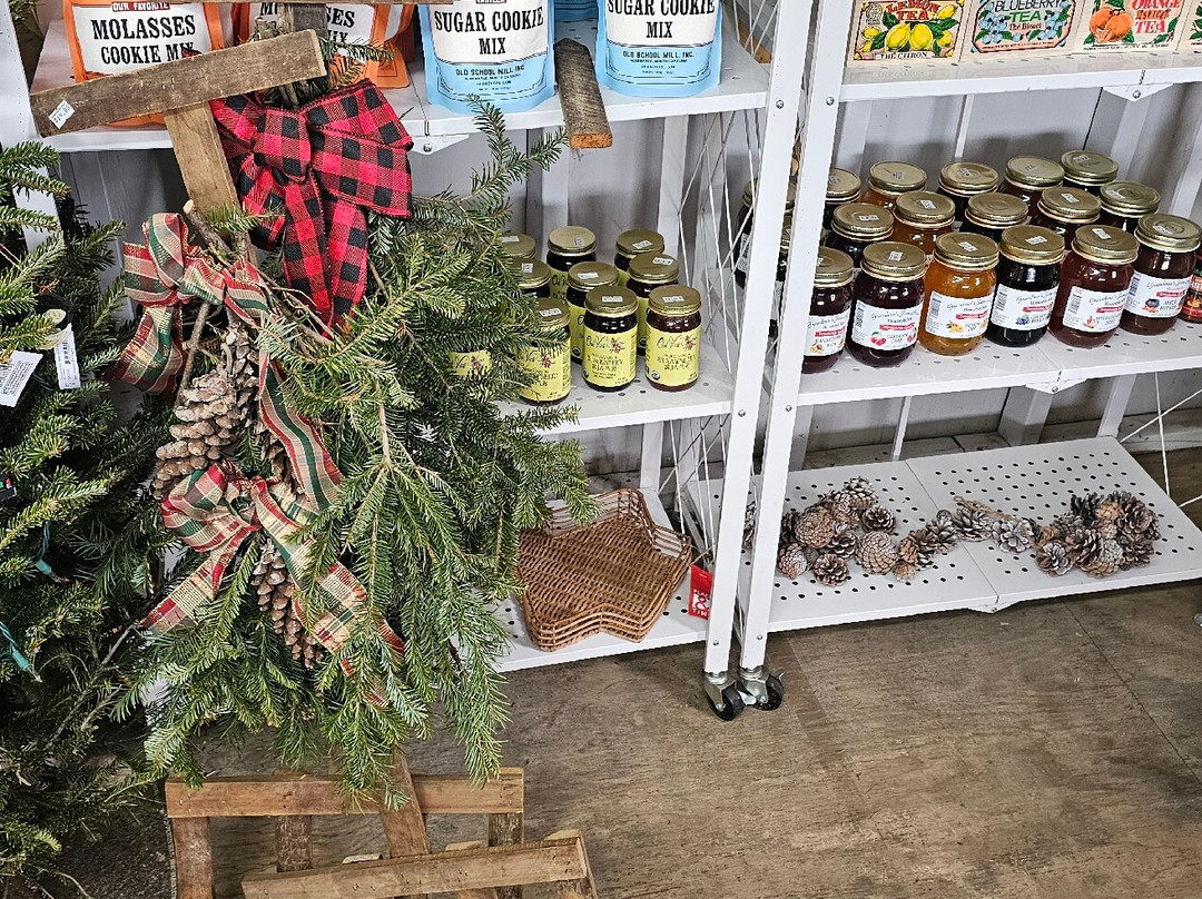 Jones Family Farm-Street必去景点