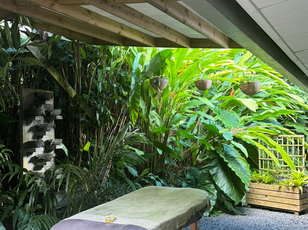 Aponi Massages Bien-être Et Spa-Goyave必去景点