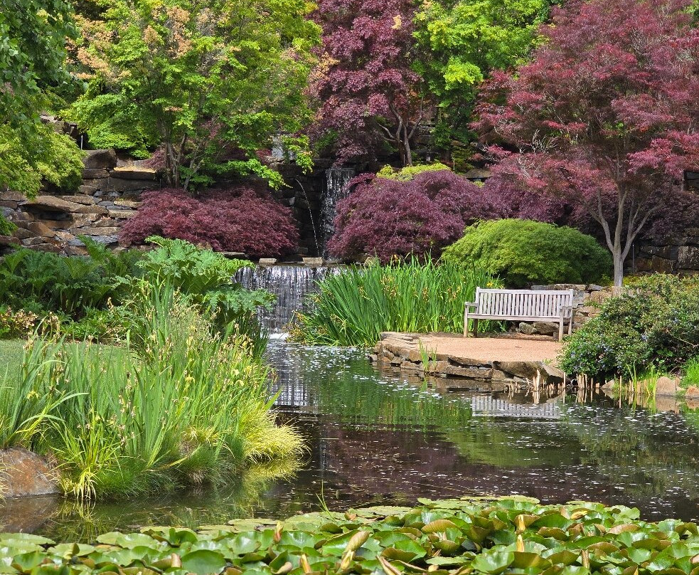 Mayfield Garden-Oberon必去景点