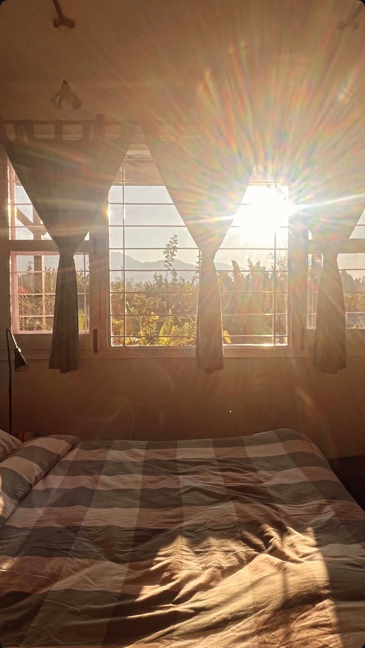 Forest Side Farm-酒店景观