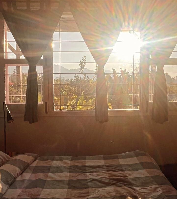 Forest Side Farm主图