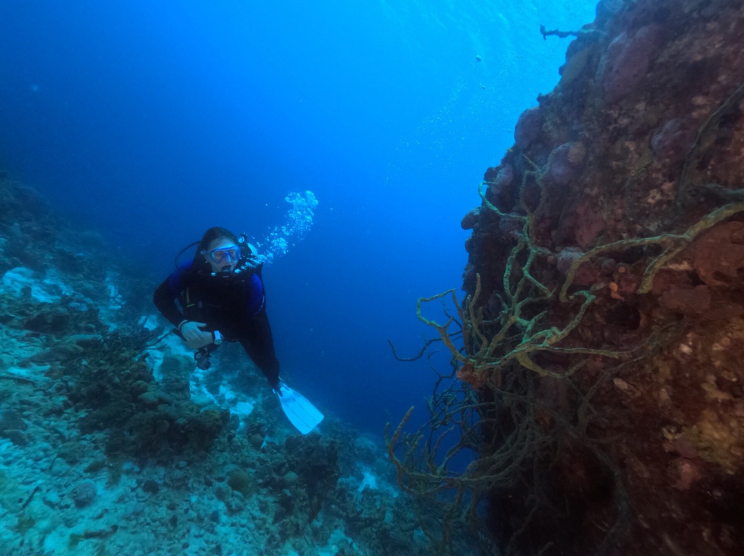 Varadero Diving Tour-Playa Larga必去景点
